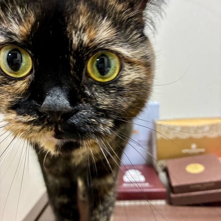 384202f4 d40d 46c8 8f91 02c37dee2ec9 1773453404018