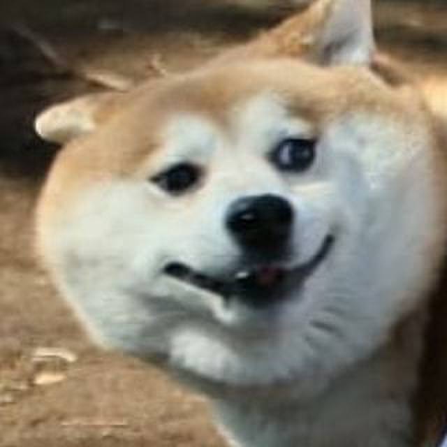 38422d52 6e67 466e 856c f924b95d0641 1614494723203