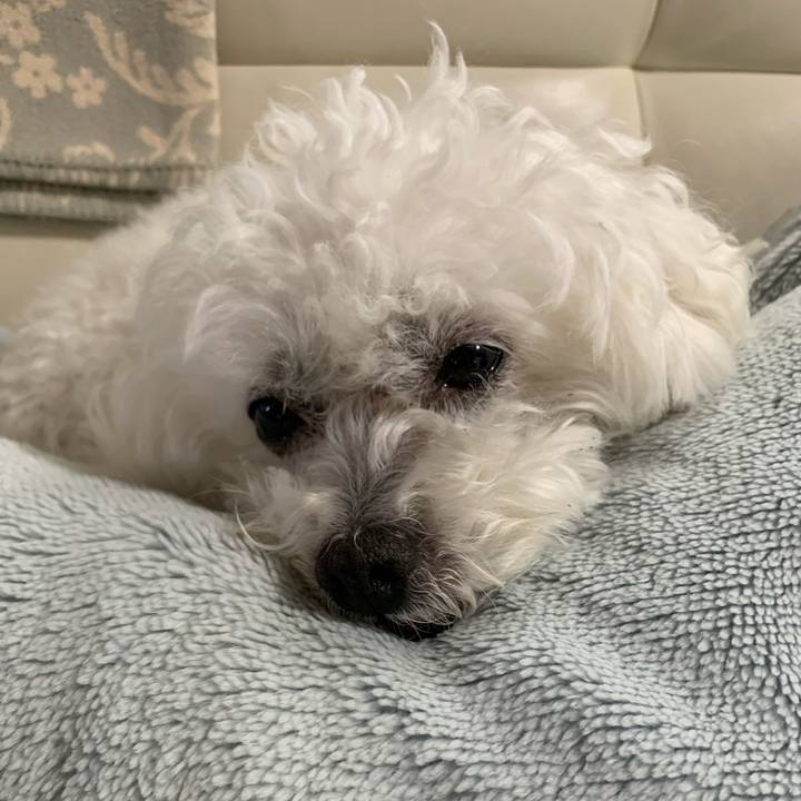 384235d3 ded2 48af 91c9 32f77803546c 1675004401369