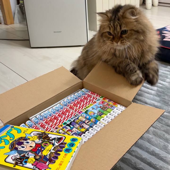 38423ce9 44d4 4289 b53a 9a85b4c89c6c 1770523742490