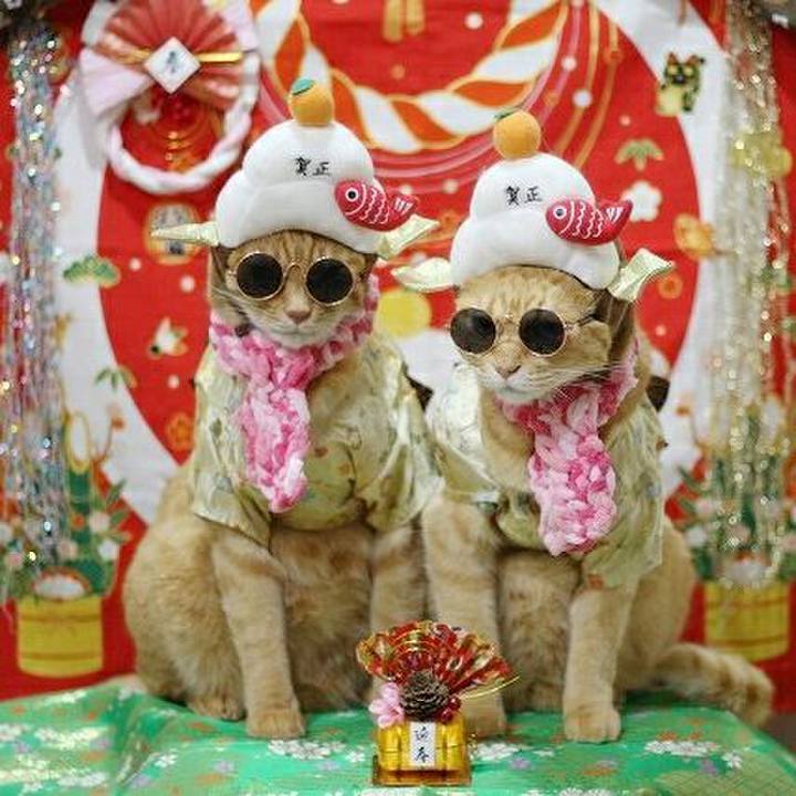 38424b26 e9db 49dd 8cb1 809b44ef0363 1546308616805