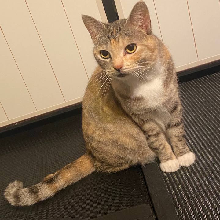 384287c8 c5df 4e22 81bc f2a5d2e183df 1587816974864