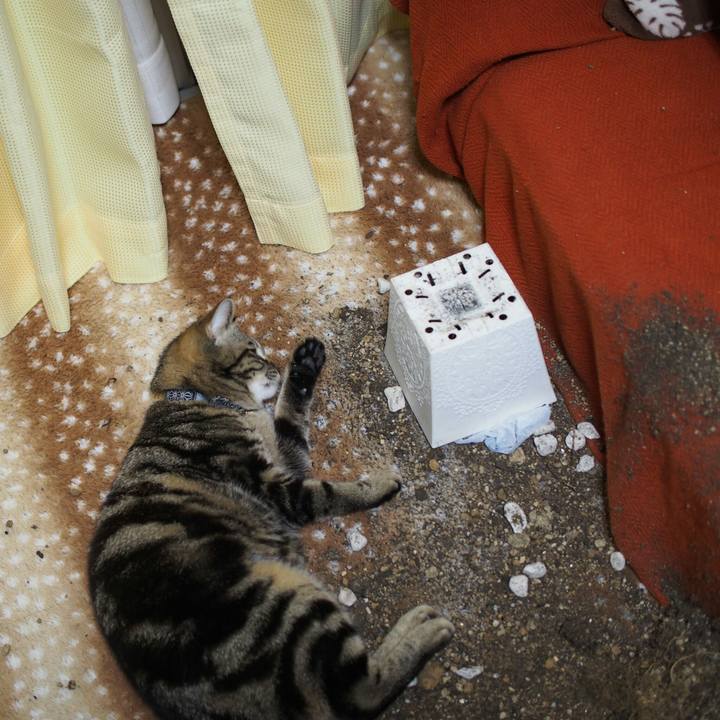 3842ac3b ec26 4f6d 9b8a 677c9fbb873a 1523188600795