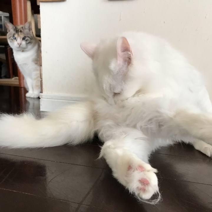 3842cfc7 68d2 4b74 8b87 e30b43812bd5 1552210632288