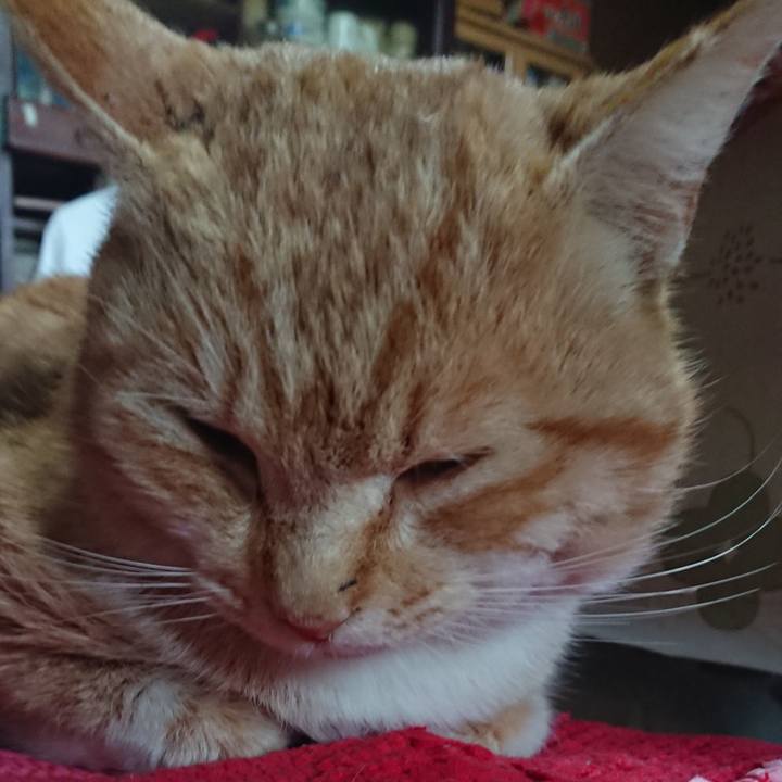 3842fd8f 79b8 4a23 afd1 f7a5af72c067 1554591015519