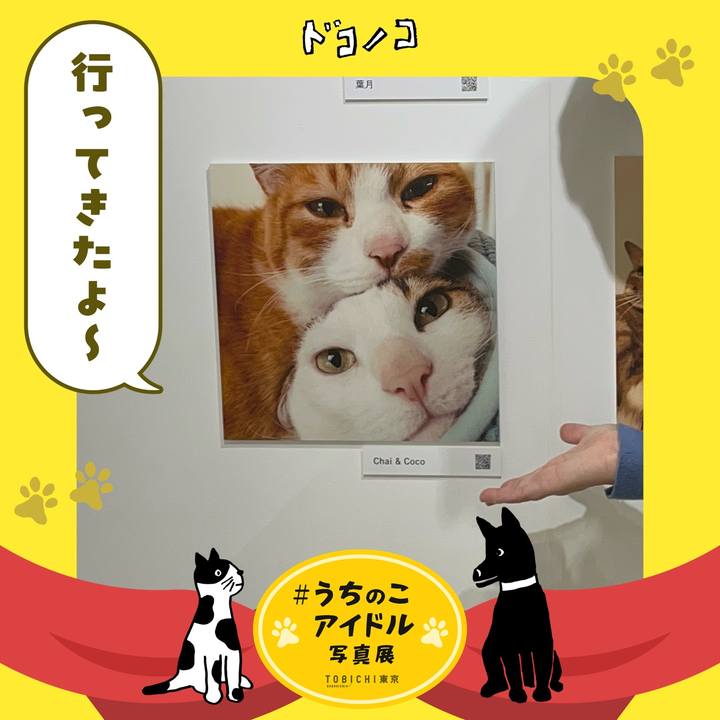 384331e4 811d 4d68 a15c f28e32f64967 1761742204268