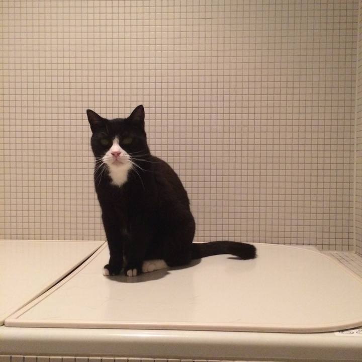 384333f5 b3ef 4391 b1ce 0ea14491038a 1560776423400