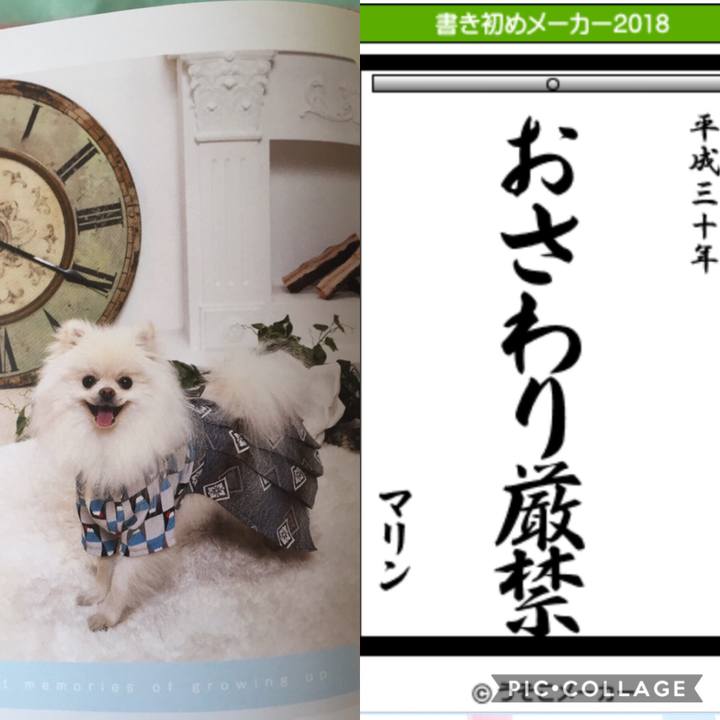 384337f0 afba 4b8d 8e14 b95a925f0b69 1514952039279