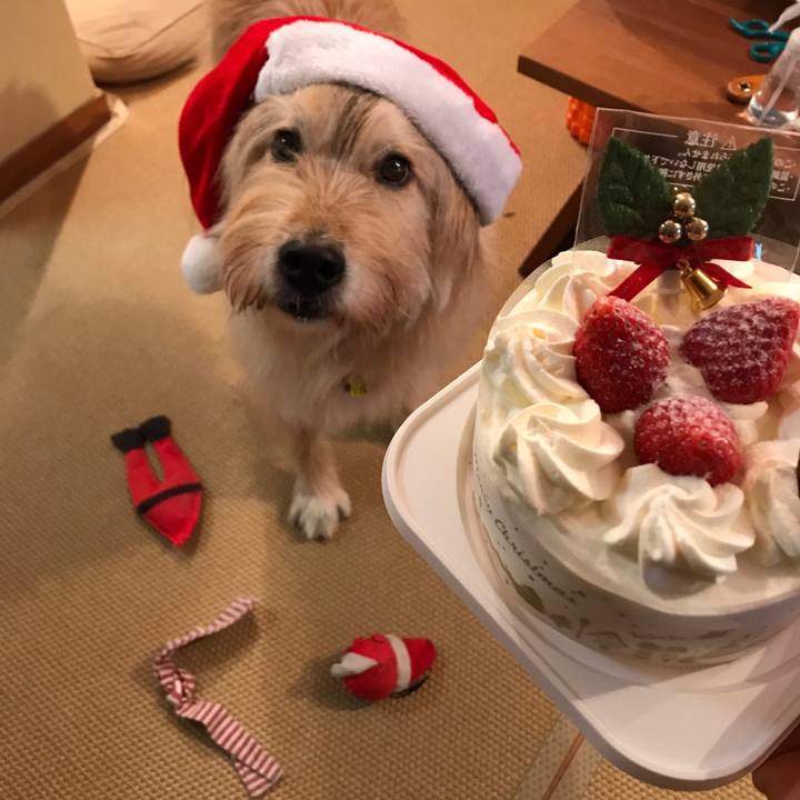 38435ddd 6d10 4386 b8cb c29d34a10cea 1577240984890