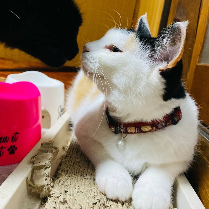 384369f9 b576 4b7b 81cd 94bbcf791f6e 1657575688215