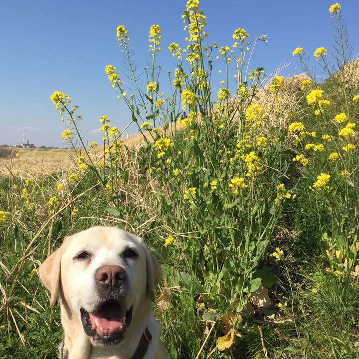 38436fc7 e0ed 4abb b800 40235e52708b 1554369767204