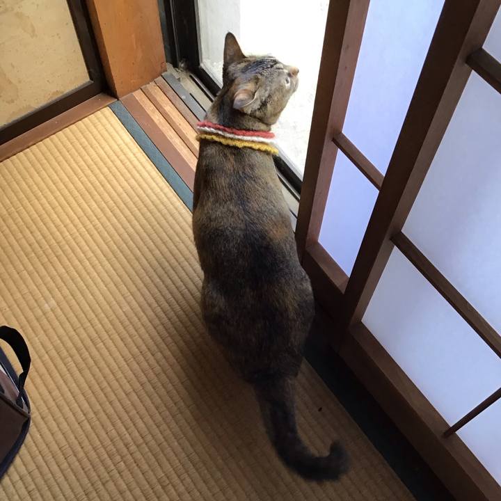 3843c165 33a8 4cbe 9bbc 7f24f844e80c 1623896231769