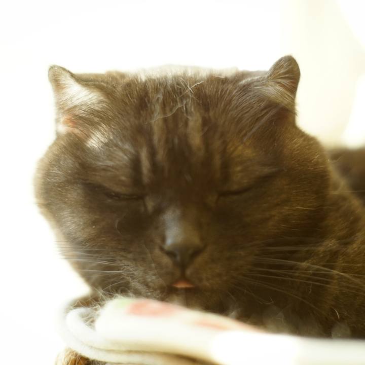 3843c9db 9604 4602 ba3b 8676abf2ed73 1637418929217