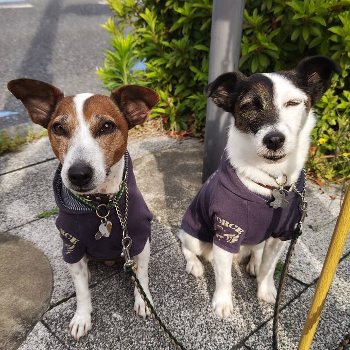 3844380d c699 45da 9d96 0101f682f386 1747173787360