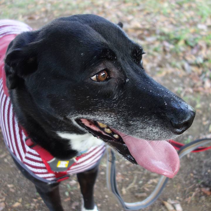 384438c9 b249 42de 88d2 9e61bf548826 1689897794331