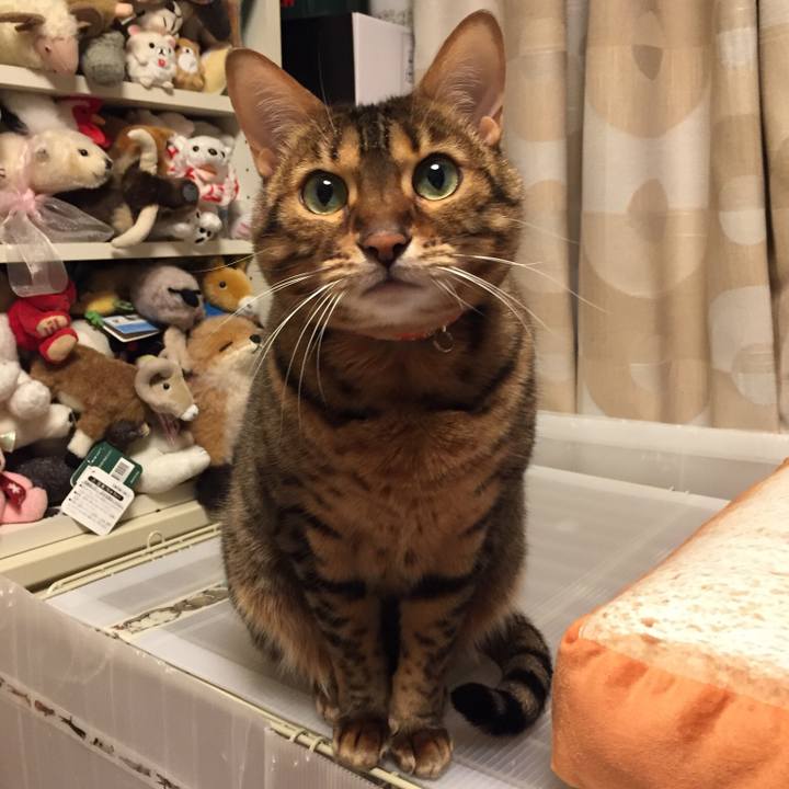 38447d22 9d5c 4f99 a4e8 c4cae066c036 1514762839452