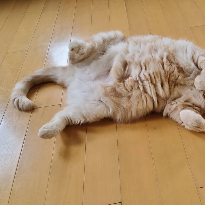 38449430 1ef8 4643 b07e 297e164a0304 1629686709901