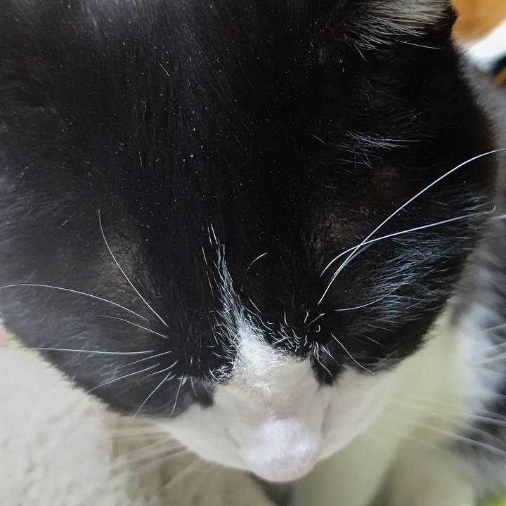 3844bb6d d71e 4911 814f ca2f9d52baf9 1643185738378