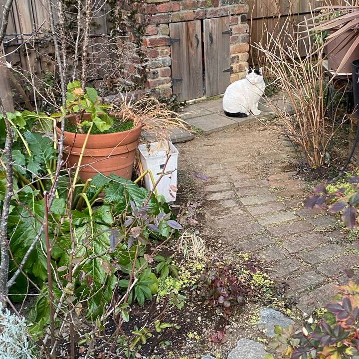 3844cfd8 f19a 4c28 a232 dc5ec5629123 1643357595349