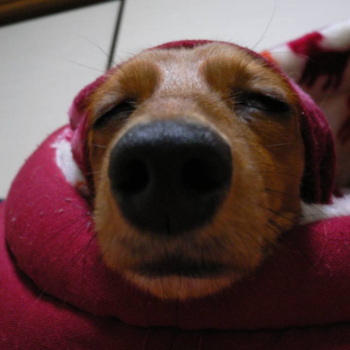 3844f028 0006 4ca6 aeac cc317c9ae3f6 1587147075462