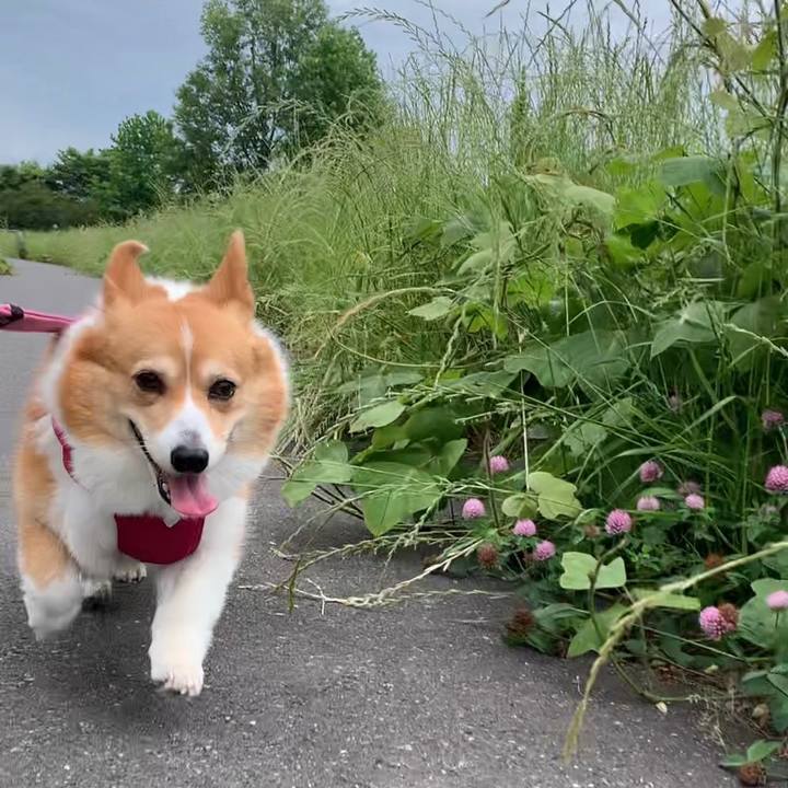 38452fd7 270e 47a3 9e4e ffba369fb3e9 1684461985387