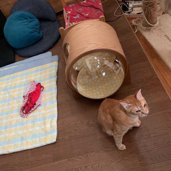 384552a0 41fe 4dc2 8bde a9b21bc5a944 1593814831183