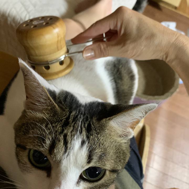 384560d3 0a74 4e07 a446 efa8b294e8ac 1652968668404