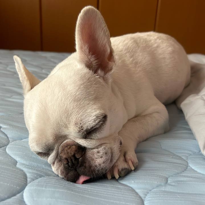 38457686 7d6d 45f5 add9 56d67494e130 1694827402853