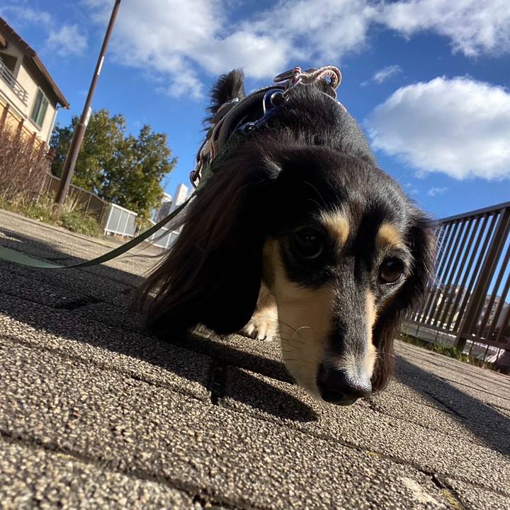 3845846d ee0f 456a a384 e046ab13c373 1739076812495