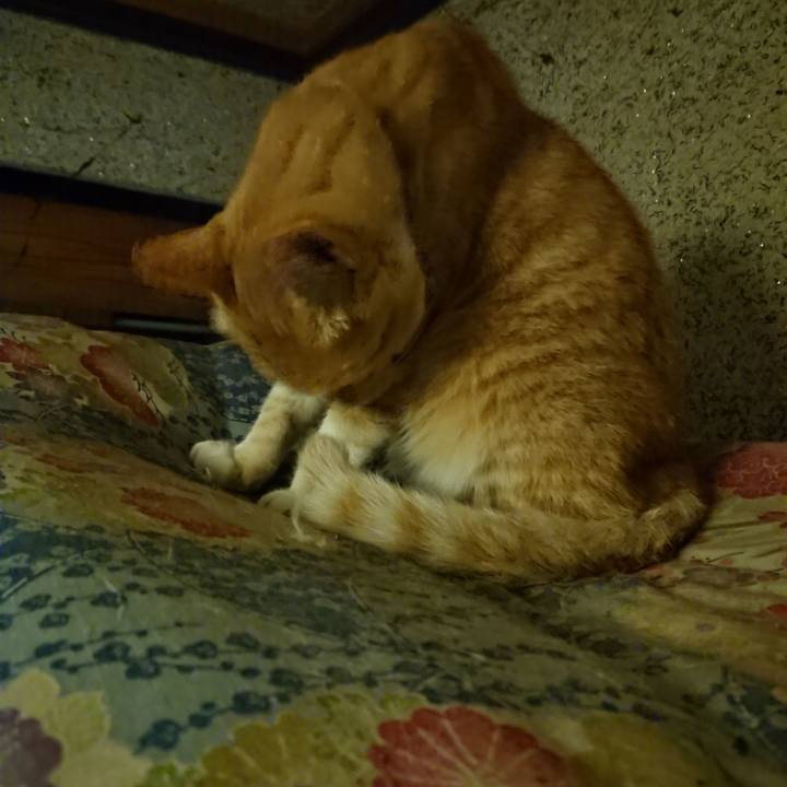 3845ac0b 4128 4846 9ba1 1849341ecc10 1594645071839