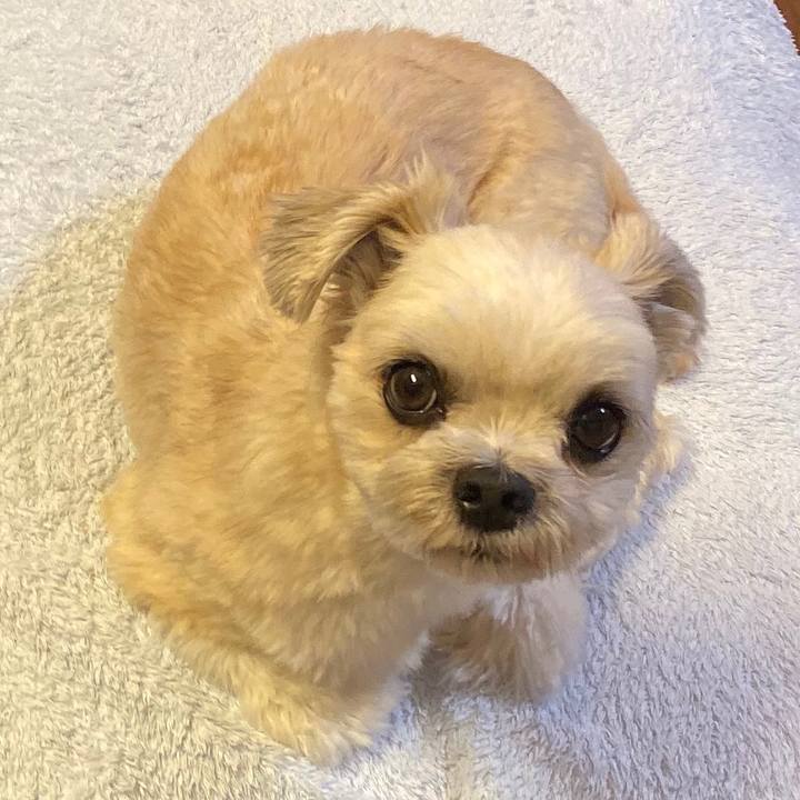 3845b13b 4575 4bab ba13 764f975b984f 1569067252691