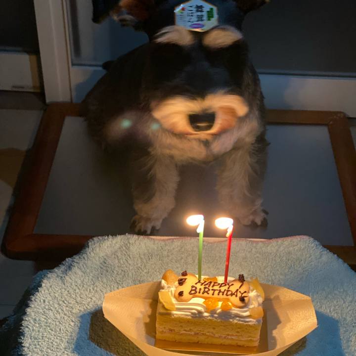 3845eba5 827b 4eb3 a846 c608da266777 1633963843337