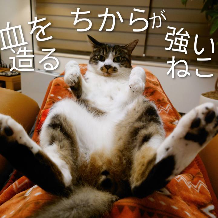 384618c4 dcd0 4711 9c09 56ee38062143 1774774131222