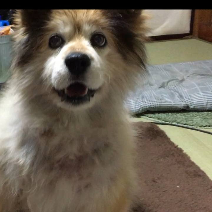 38461abf d18d 4fe0 a734 11fb9caaeba1 1615428922586