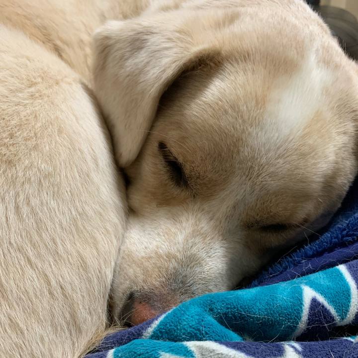 38462282 9865 4864 84b1 06ec857ba1f0 1542551682455