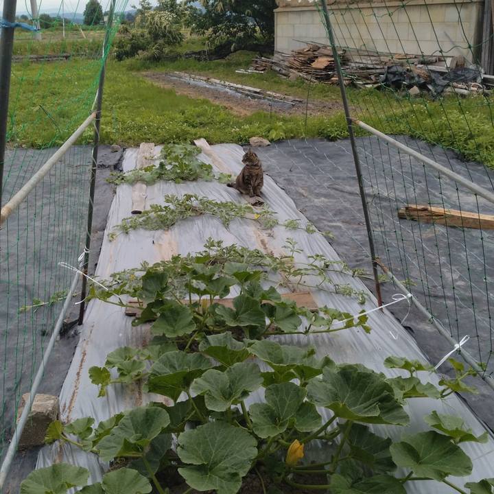 384675ef 628a 495a b4d1 cc9645534287 1687435258121