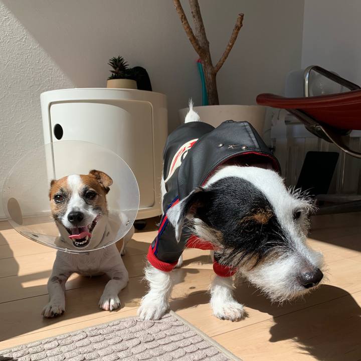 3846860d 323c 4146 885a fb607f22e3e8 1570593825965