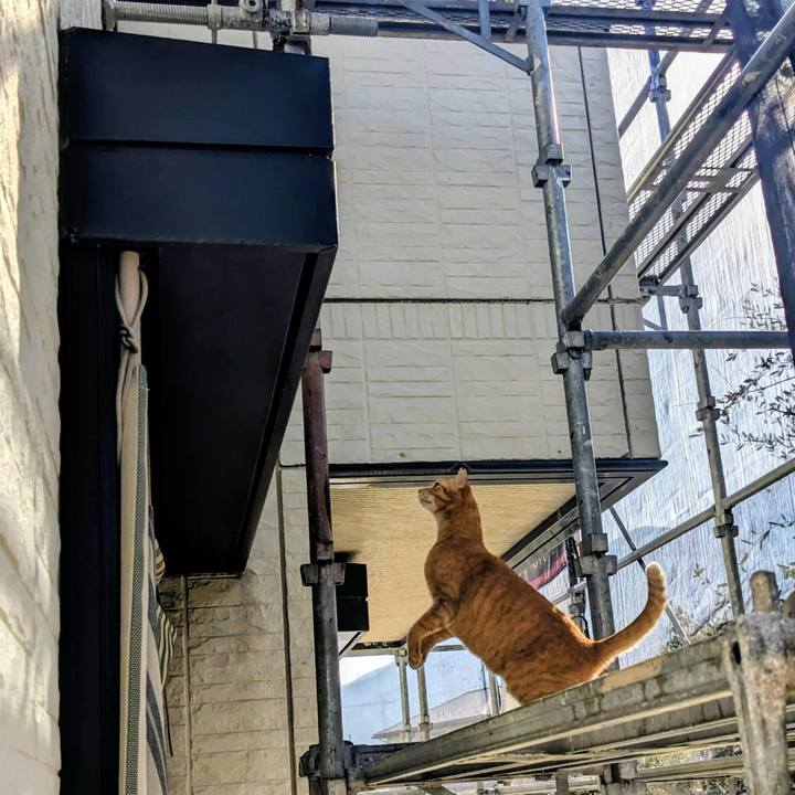 3846c349 2fab 457d 859b 58d84f1651ad 1771046302341