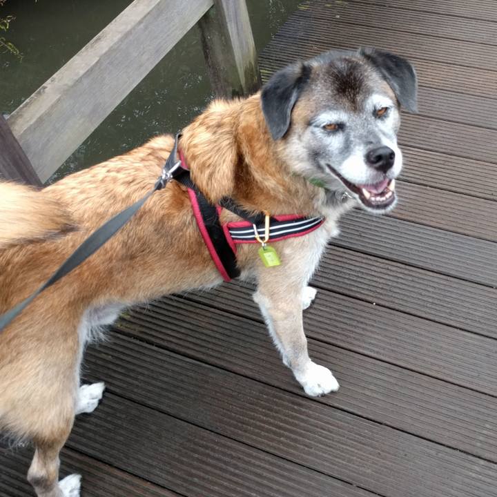 3846f0f8 8364 46d9 b399 8b8408a7d75b 1536276687240