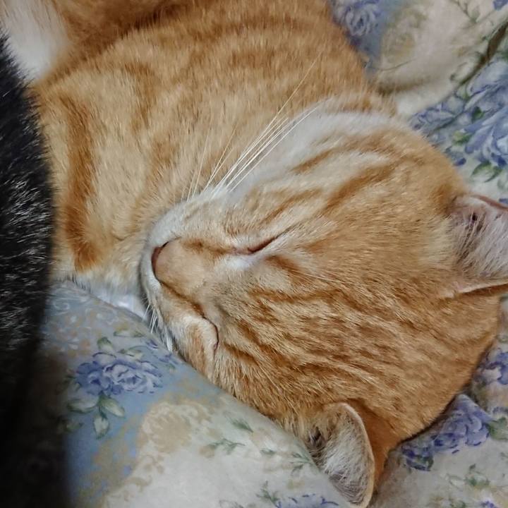 38471db0 2293 4ef2 aa65 84a8185450f4 1583325819549