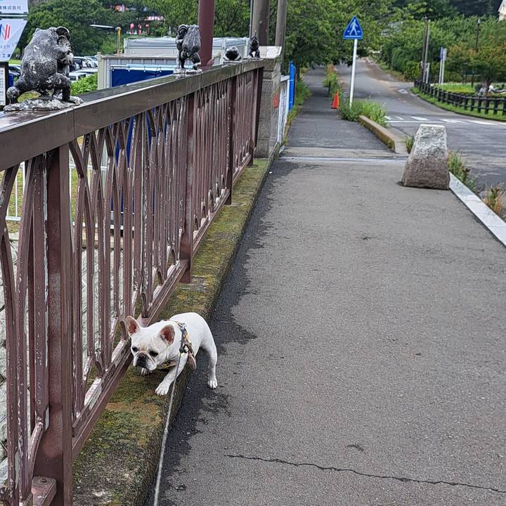 3847250c ca1f 4fc9 96f9 aa468e9cf4e2 1719630962942