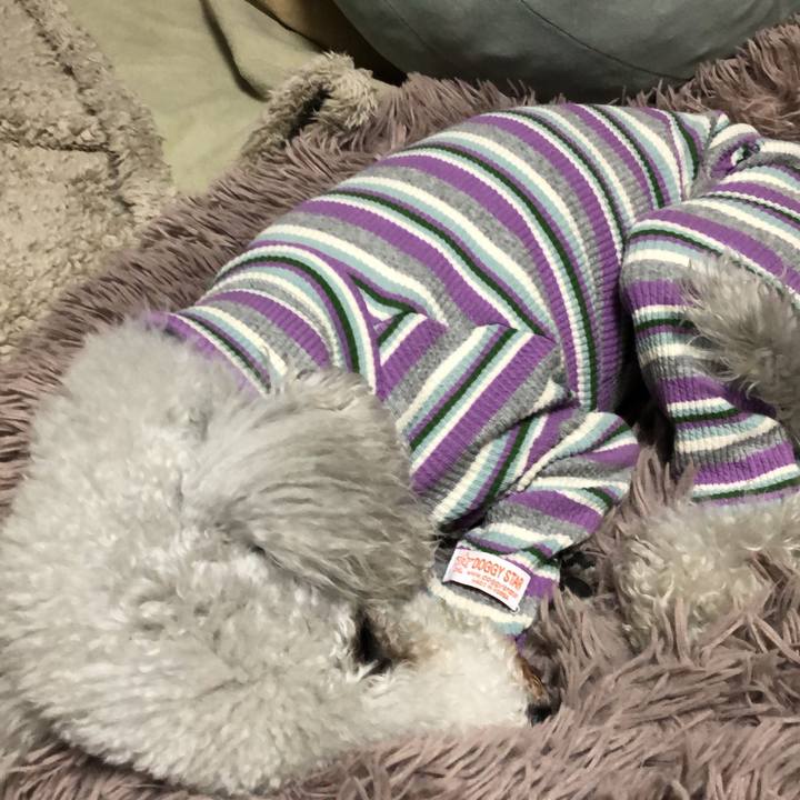 3847570a 88ae 474e bb20 9e90c64ab3ca 1647694281182