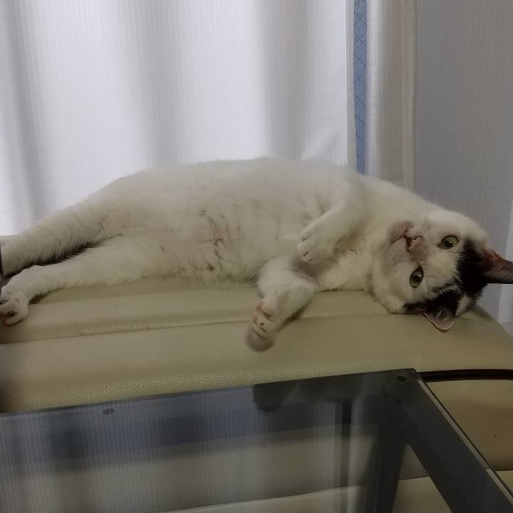 384787b6 1e50 4a7f a4f4 786c731ba445 1660984897472