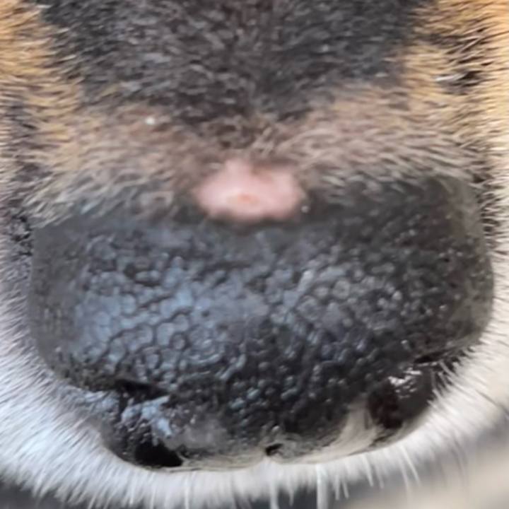 38481d92 f0cf 458e a483 1fab5185e55f 1728527929991