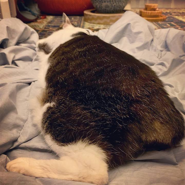 38482ddd 1a55 4c83 a294 5c2086d732cc 1614082010542