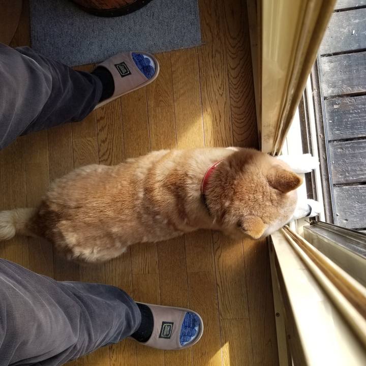 384844a3 8d98 412c bdc1 773c9df55c96 1737507738139