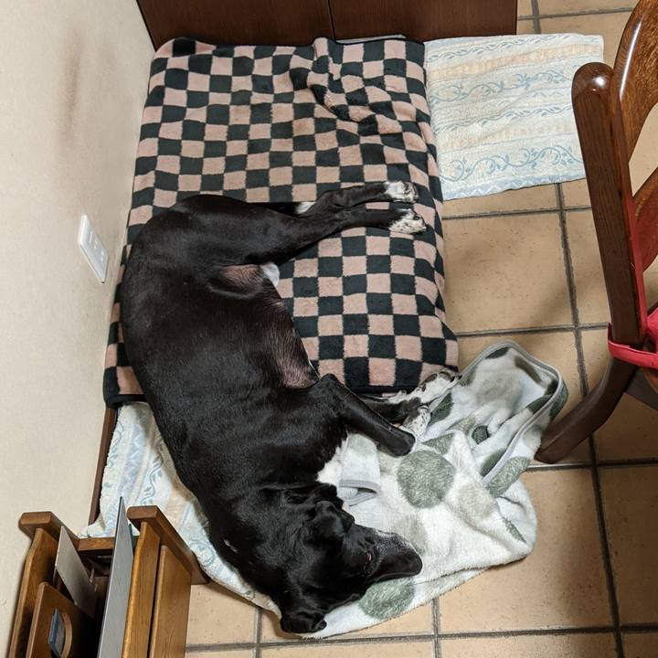 38484d7c cf1a 4d67 b136 8092c07f0364 1706923586287