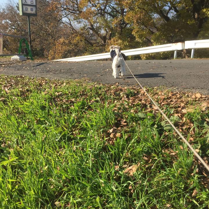 384857b1 f50b 45b9 b6d1 ac9e0db3a6ad 1513169948074