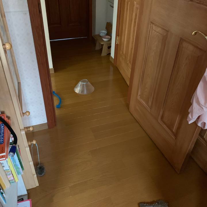 38487269 62a6 44d4 9824 d7d592f870dc 1567721701814