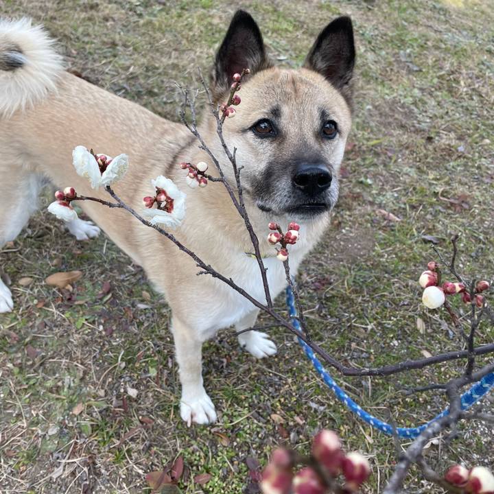 384887a9 3a32 4227 a6b0 3cab437e8b8b 1644058484024